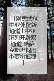 聚焦武汉中亚外贸新通道│中亚班列开辟双通道 哈萨克斯坦饲用小麦将抵鄂