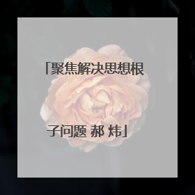 聚焦解决思想根子问题 郝 炜