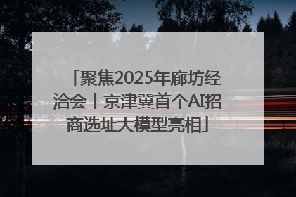 聚焦2025年廊坊经洽会丨京津冀首个AI招商选址大模型亮相