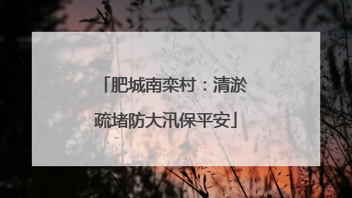 肥城南栾村：清淤疏堵防大汛保平安