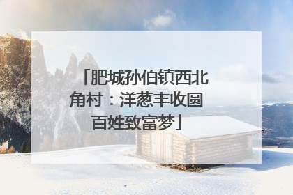 肥城孙伯镇西北角村：洋葱丰收圆百姓致富梦