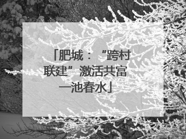 肥城：“跨村联建”激活共富一池春水