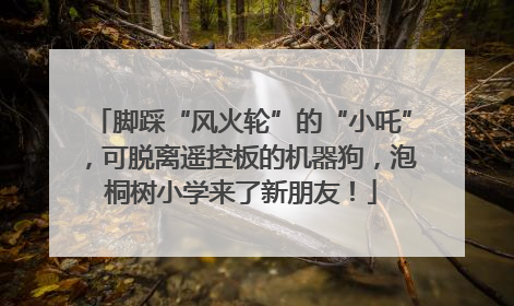 脚踩“风火轮”的“小吒”，可脱离遥控板的机器狗，泡桐树小学来了新朋友！