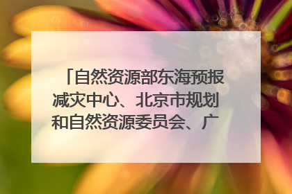 自然资源部东海预报减灾中心、北京市规划和自然资源委员会、广东省林业系统等正在招聘｜招聘信息