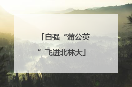 自强“蒲公英”飞进北林大