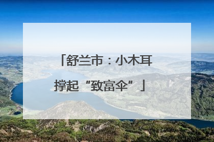舒兰市：小木耳撑起“致富伞”