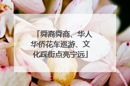 舜裔舜商、华人华侨花车巡游、文化踩街点亮宁远