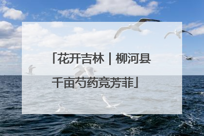 花开吉林｜柳河县千亩芍药竞芳菲