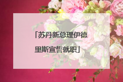 苏丹新总理伊德里斯宣誓就职