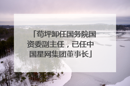 苟坪卸任国务院国资委副主任，已任中国星网集团董事长
