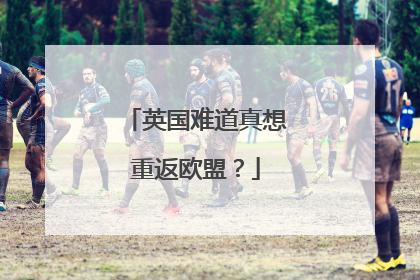 英国难道真想重返欧盟？
