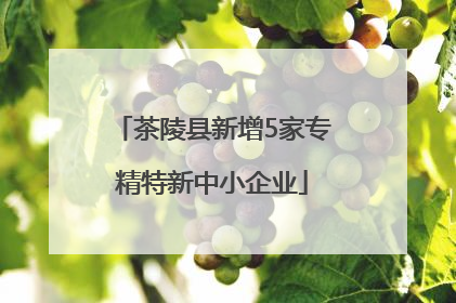 茶陵县新增5家专精特新中小企业