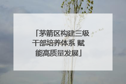 茅箭区构建三级干部培养体系 赋能高质量发展
