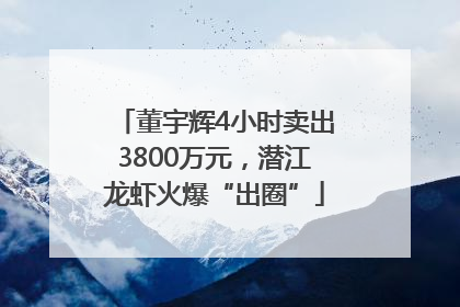 董宇辉4小时卖出3800万元，潜江龙虾火爆“出圈”