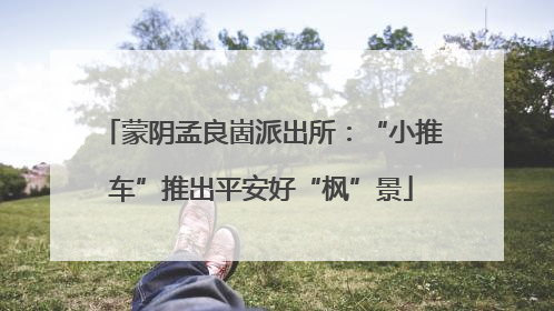 蒙阴孟良崮派出所：“小推车”推出平安好“枫”景