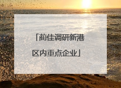 蔺佳调研新港区内重点企业