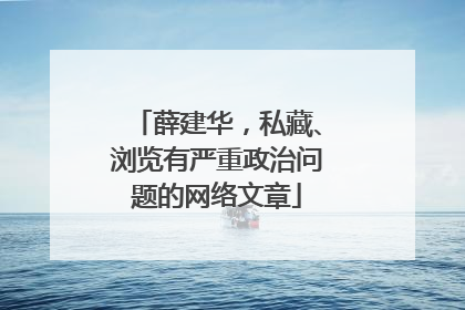 薛建华，私藏、浏览有严重政治问题的网络文章