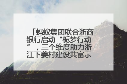 蚂蚁集团联合浙商银行启动“栀梦行动”，三个维度助力浙江下姜村建设共富示范区示范点