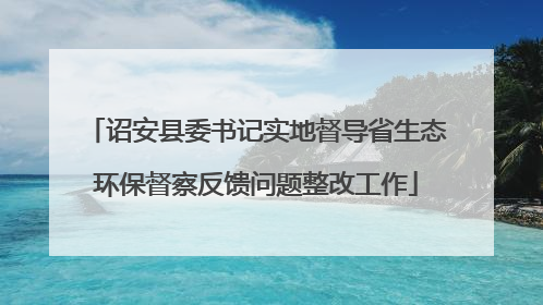 诏安县委书记实地督导省生态环保督察反馈问题整改工作