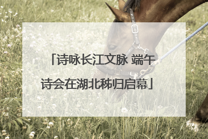诗咏长江文脉 端午诗会在湖北秭归启幕