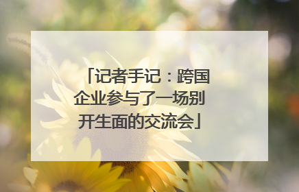 记者手记：跨国企业参与了一场别开生面的交流会