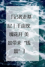 记者走基层｜千亩玫瑰花开 美景带来“钱景”