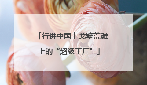 行进中国丨戈壁荒滩上的“超级工厂”