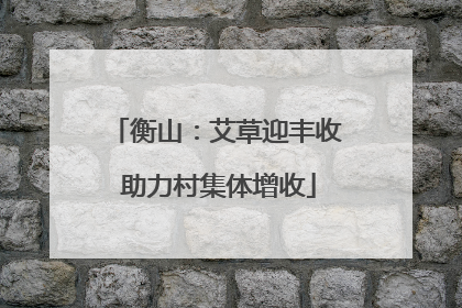 衡山：艾草迎丰收 助力村集体增收
