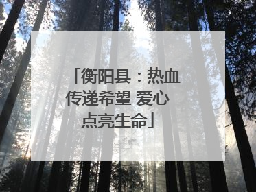 衡阳县：热血传递希望 爱心点亮生命