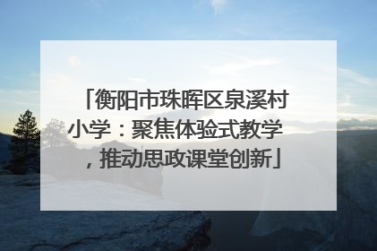 衡阳市珠晖区泉溪村小学：聚焦体验式教学，推动思政课堂创新