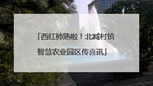 西红柿熟啦！北臧村镇智慧农业园区传喜讯