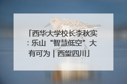 西华大学校长李秋实：乐山“智慧低空”大有可为｜西望四川