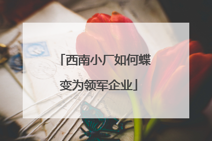 西南小厂如何蝶变为领军企业