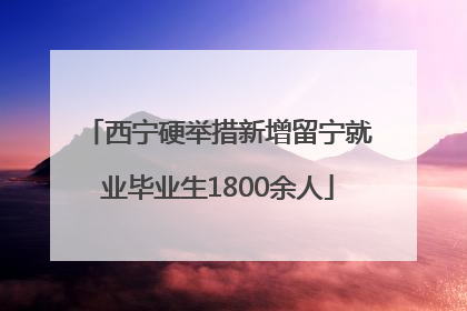西宁硬举措新增留宁就业毕业生1800余人