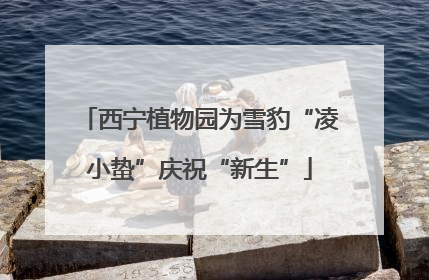 西宁植物园为雪豹“凌小蛰”庆祝“新生”