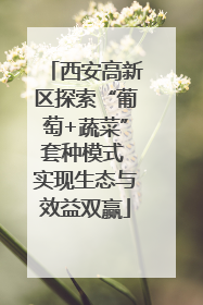 西安高新区探索“葡萄+蔬菜”套种模式 实现生态与效益双赢