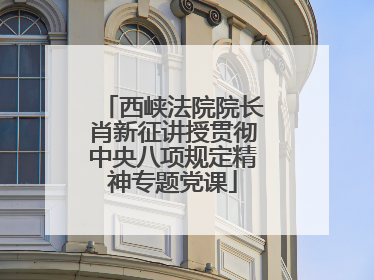 西峡法院院长肖新征讲授贯彻中央八项规定精神专题党课