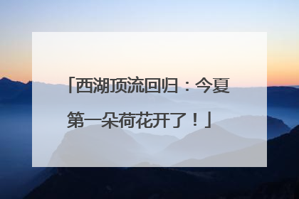西湖顶流回归：今夏第一朵荷花开了！