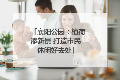 襄阳公园：植荷添新景 打造市民休闲好去处