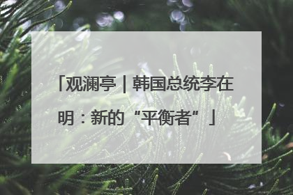 观澜亭｜韩国总统李在明：新的“平衡者”