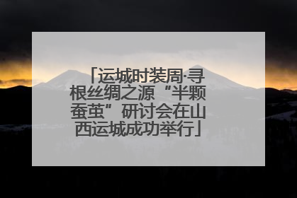 运城时装周·寻根丝绸之源“半颗蚕茧”研讨会在山西运城成功举行