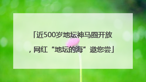近500岁地坛神马圈开放，网红“地坛的海”邀您尝