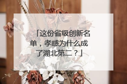 这份省级创新名单，孝感为什么成了湖北第二？