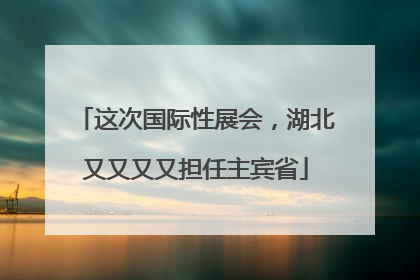 这次国际性展会，湖北又又又又担任主宾省