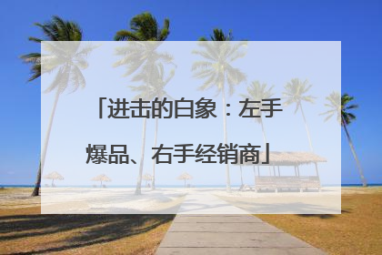 进击的白象：左手爆品、右手经销商