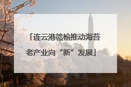 连云港赣榆推动海苔老产业向“新”发展