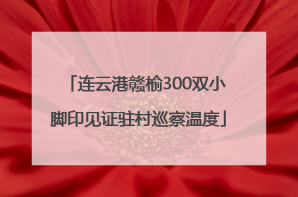 连云港赣榆300双小脚印见证驻村巡察温度