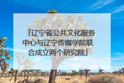 辽宁省公共文化服务中心与辽宁传媒学院联合成立两个研究院