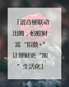 谐音梗联动出圈，蚂蚁财富“指数+”让理财更“加”生活化