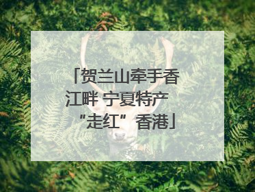 贺兰山牵手香江畔 宁夏特产“走红”香港